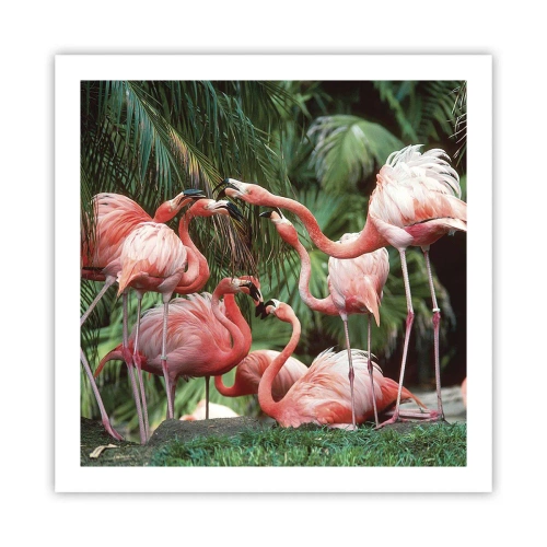 Poster - Afternoon Gossip - 60x60 cm