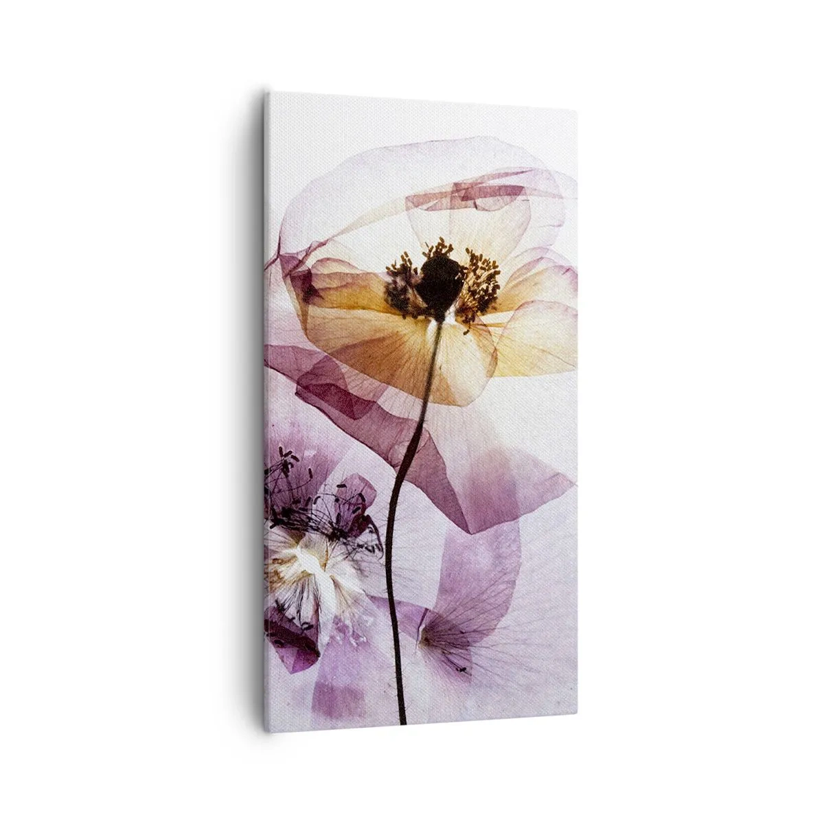 Canvas picture - Flower Body Slide - 55x100 cm
