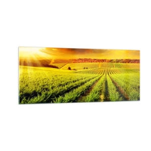 Glass picture - Under Australian Sun - 100x40 cm