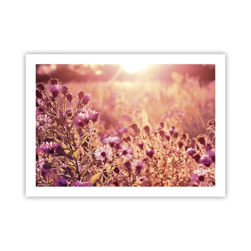 Poster - Before Summer Goes - 70x50 cm