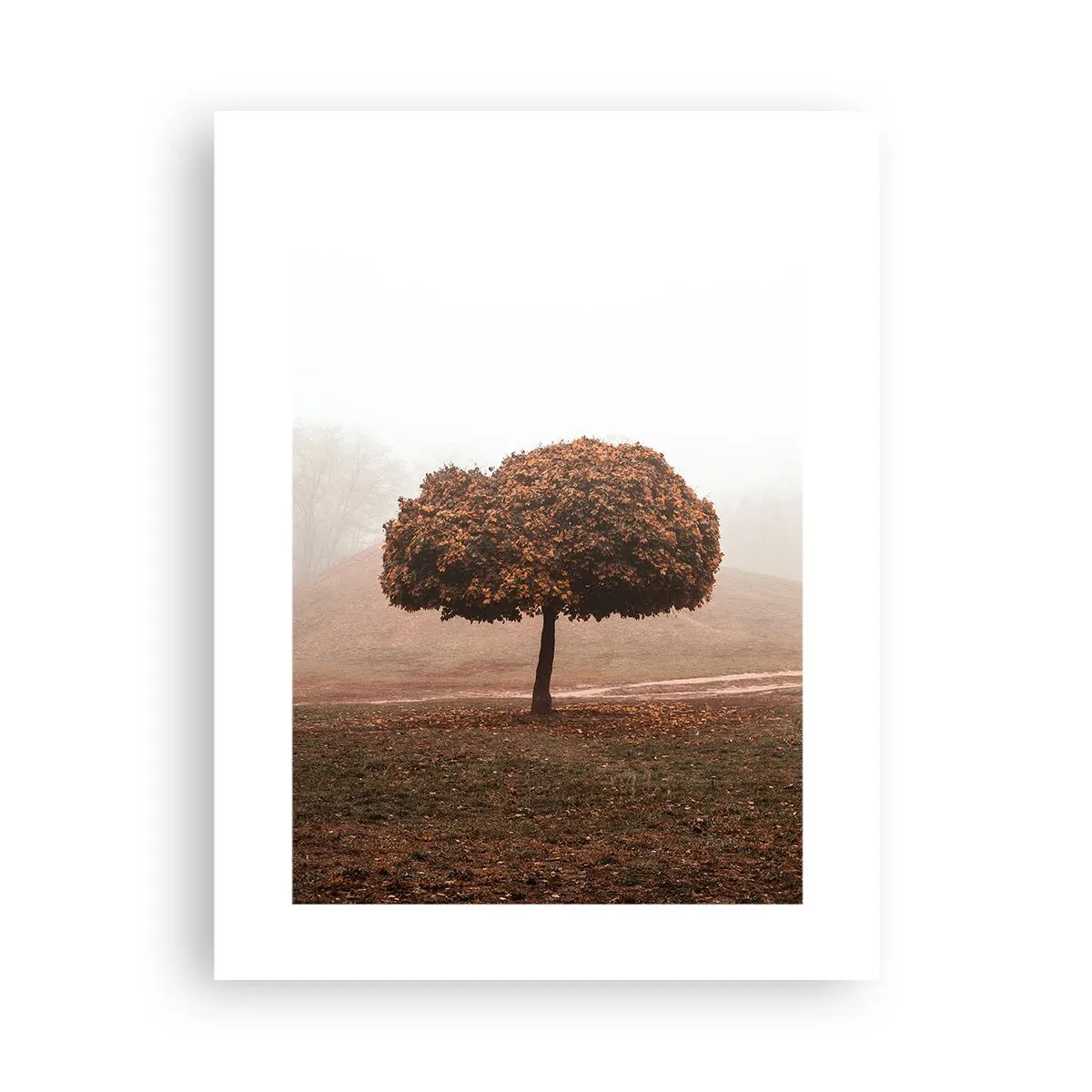 Poster - After a Busy Summer - 30x40 cm