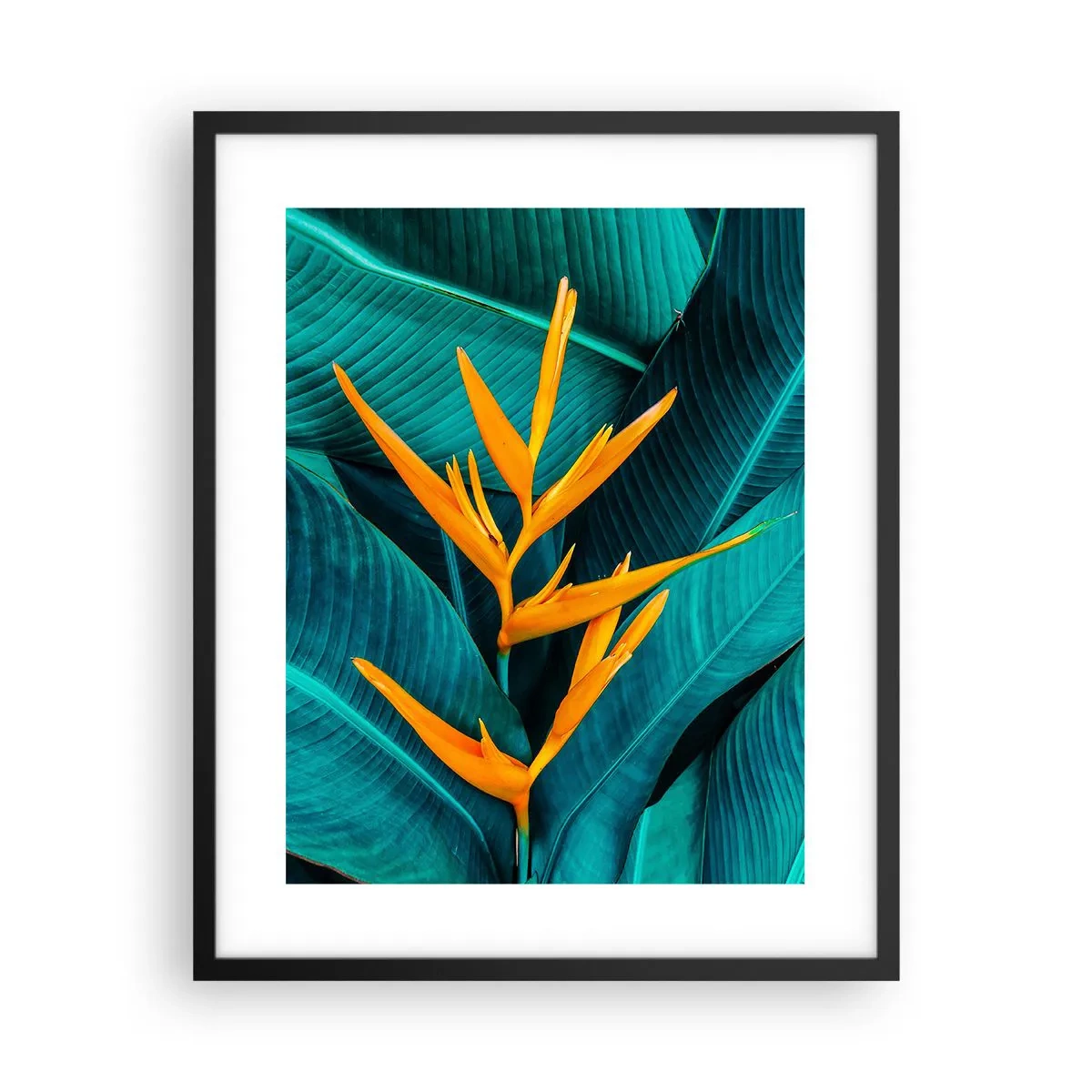Poster in black frame - Flower of Eden - 40x50 cm