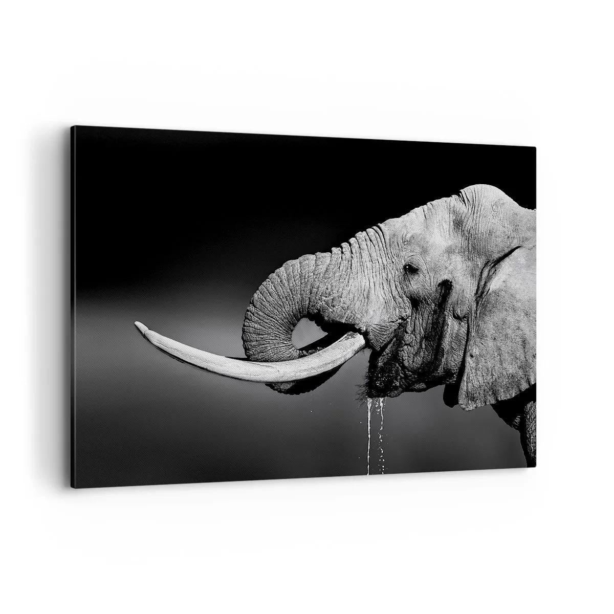 Canvas picture - Yes, That's Right - 120x80 cm