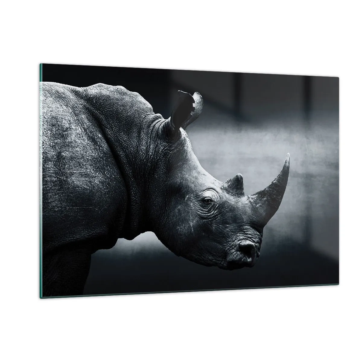 Glass picture - Right Profile - 120x80 cm