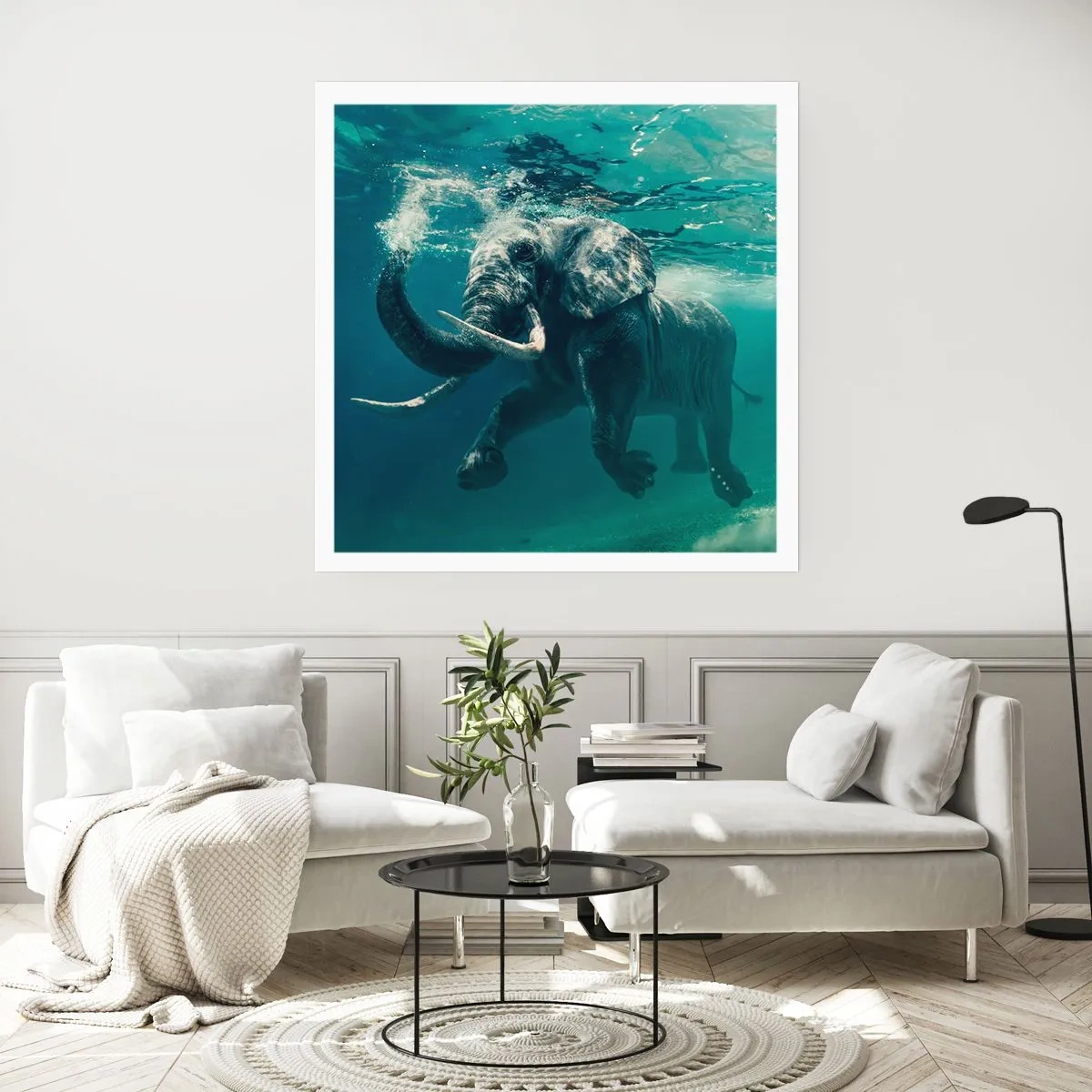 Poster - Everyone Likes to Swim - 50x50 cm