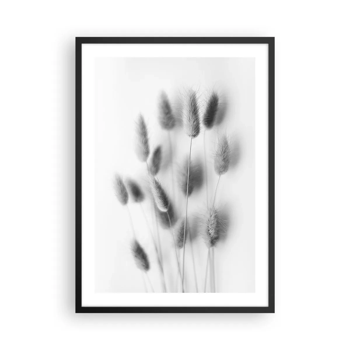 Poster in black frame - Black and white fluffy ears of grass - 50x70cm - Her Softness Grass - Modern wall decoration for the living room and bedroom ARTTOR