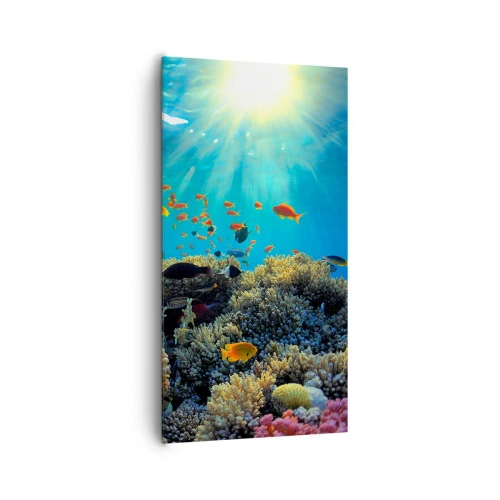 Canvas picture - Underwater Treasures - 65x120 cm