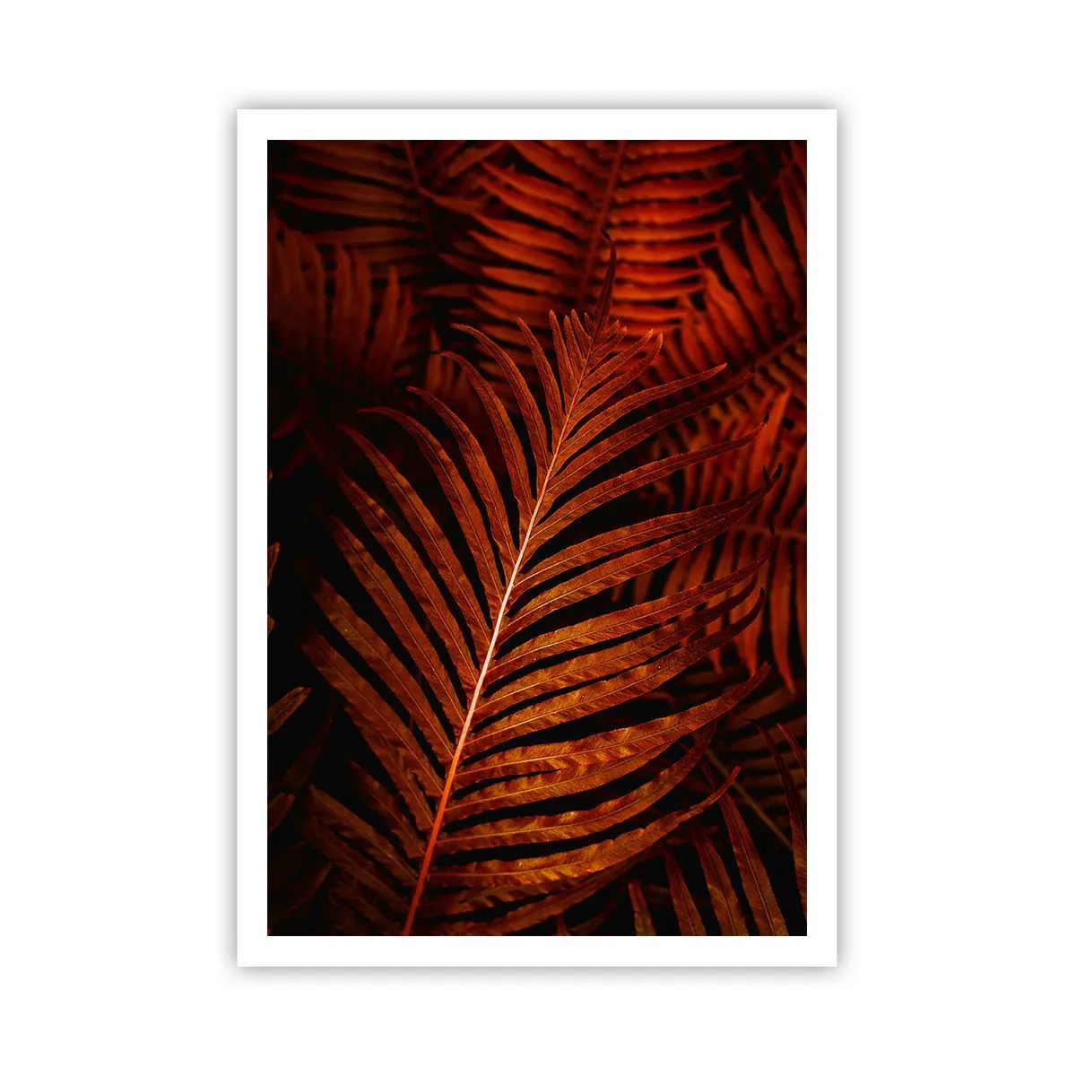 Poster - Heat of Life - 70x100 cm