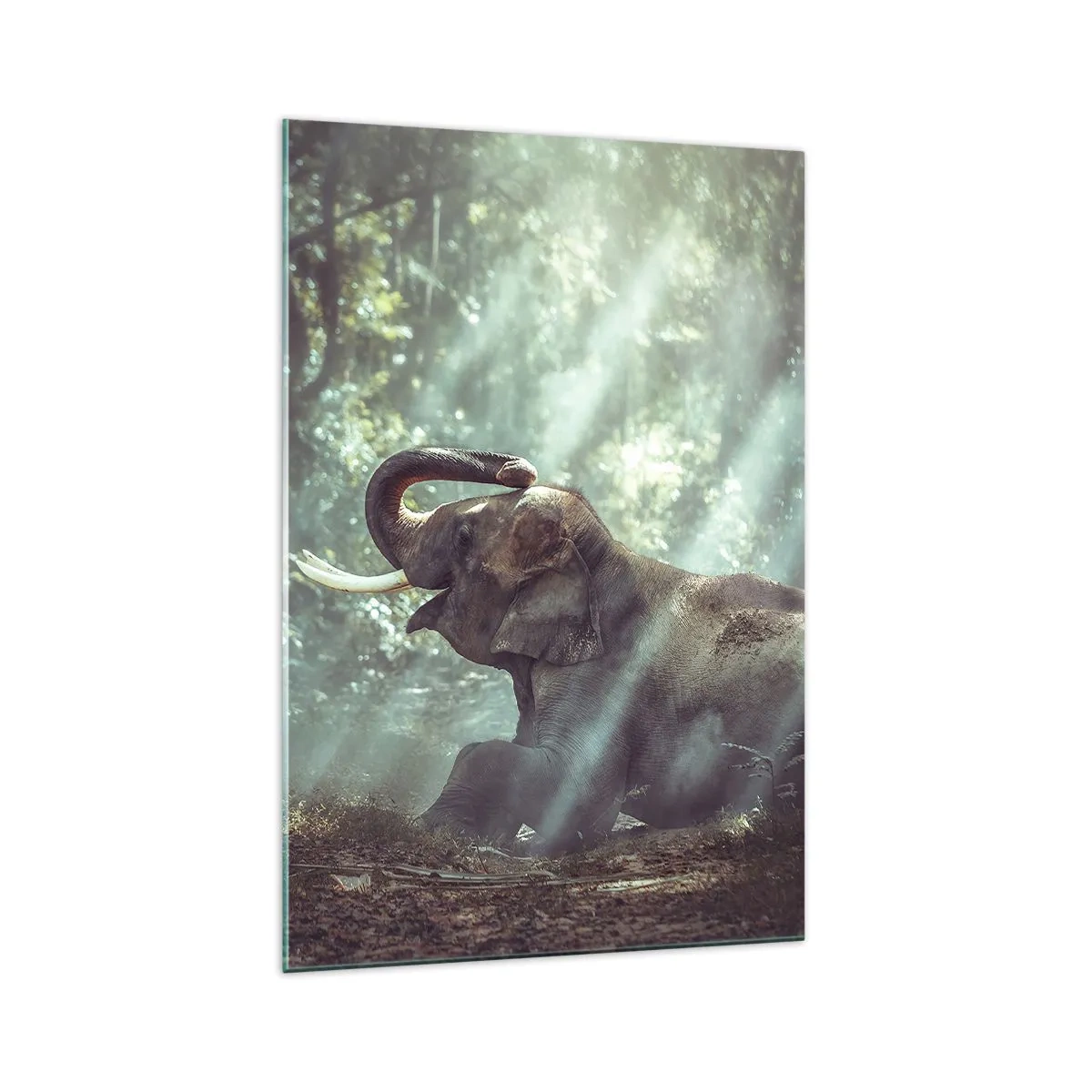 Glass picture - Listen to This… - 70x100 cm