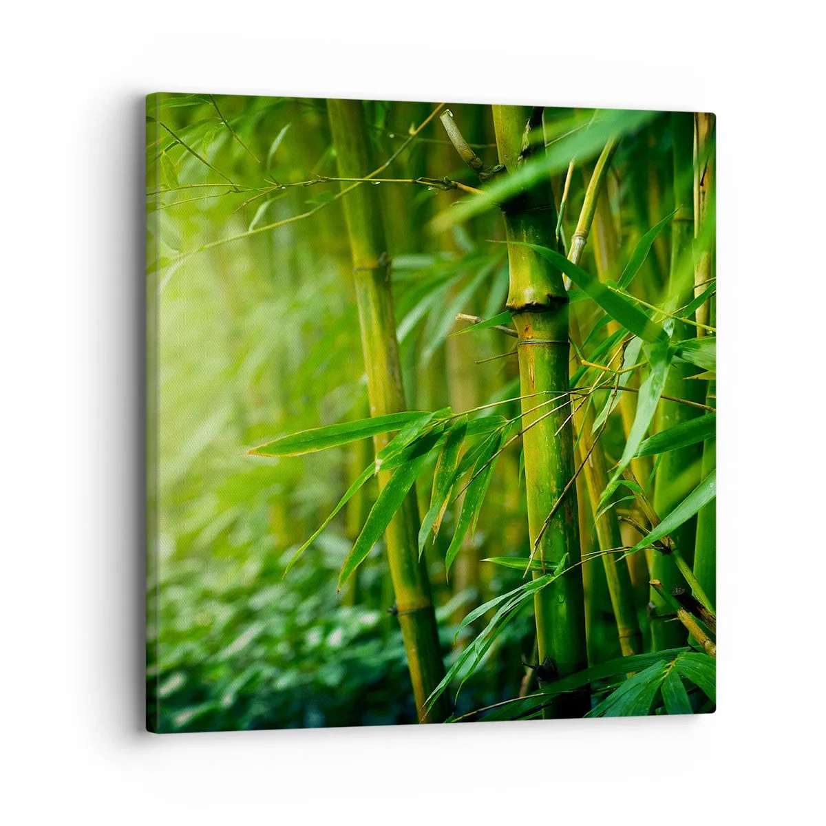 Canvas picture - Getting to Know the Green - 30x30 cm