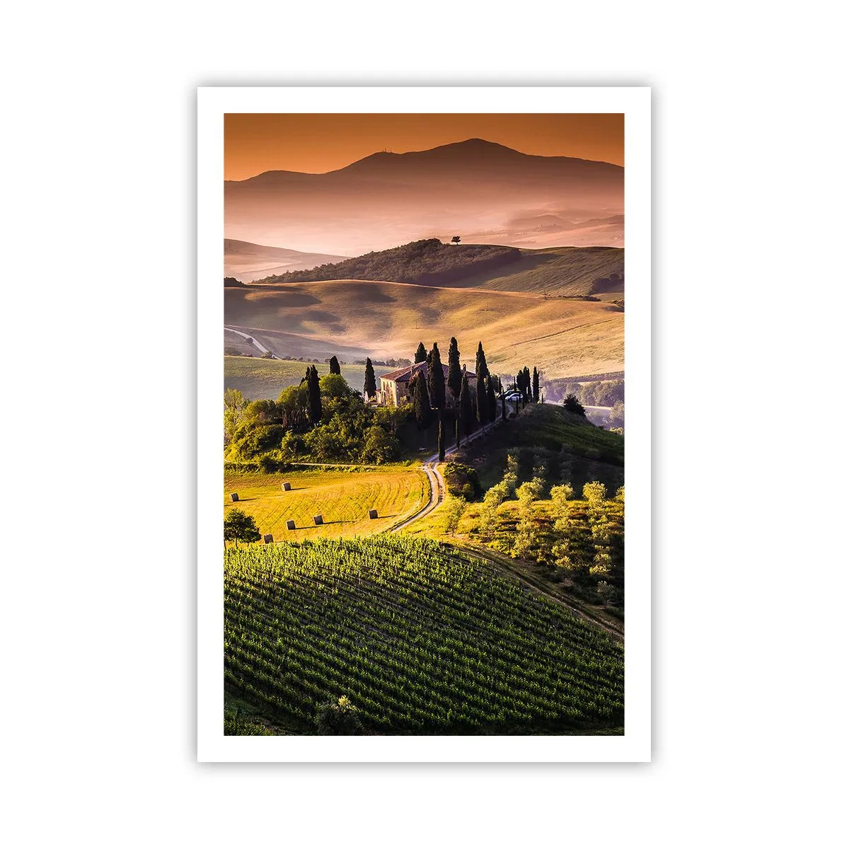 Poster - Arcadia - Tuscan Landscape - 61x91 cm