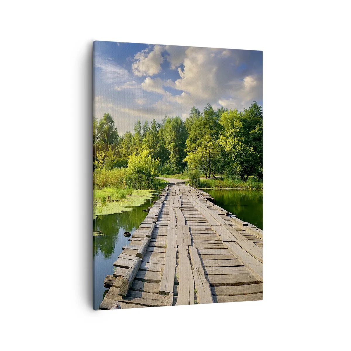 Canvas picture - Summer Everywhere - 50x70 cm