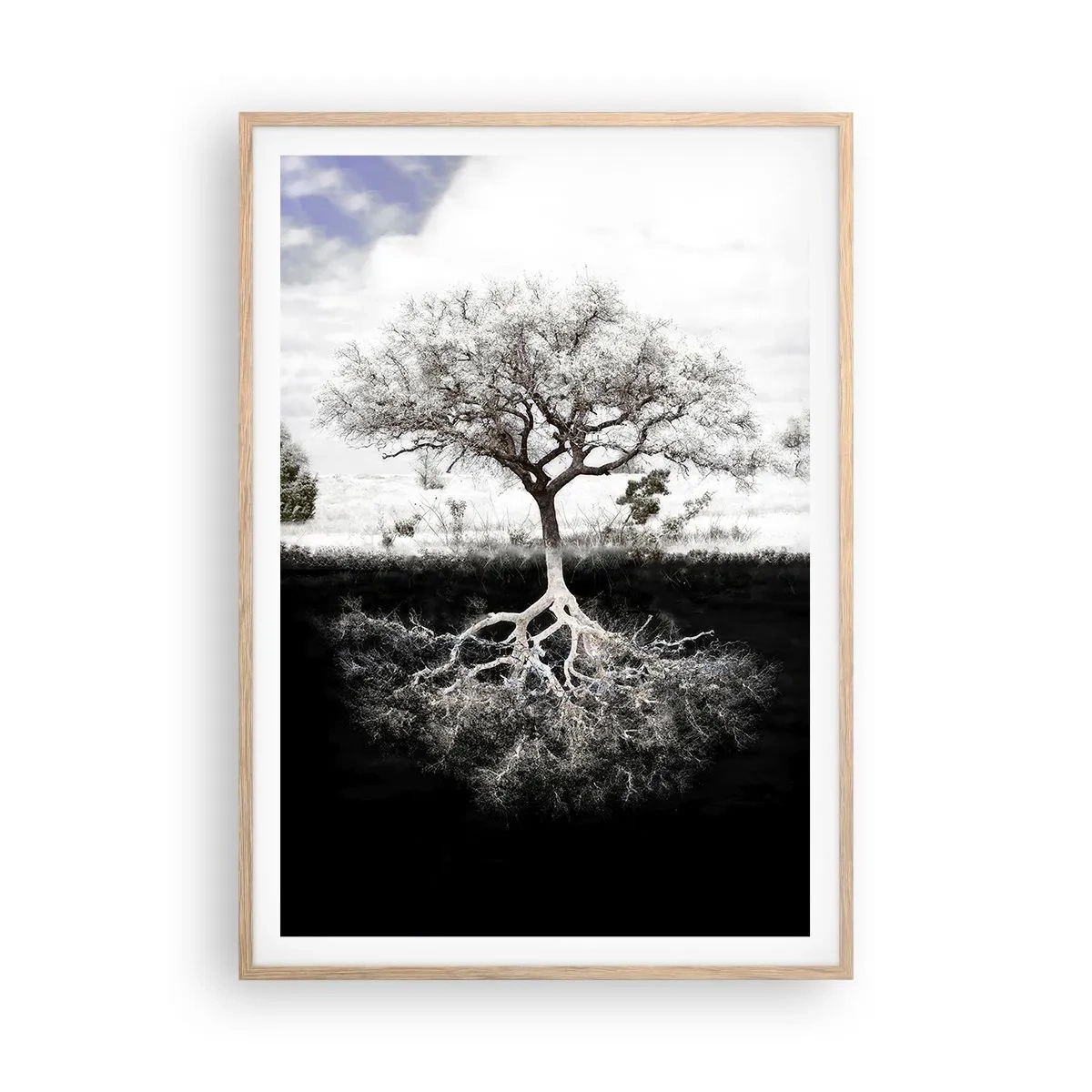 Poster in light oak frame - Discovery of the Nature of the World - 70x100 cm
