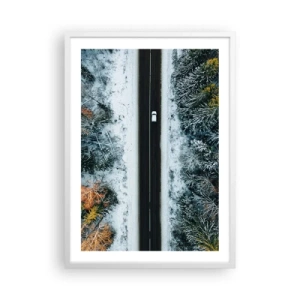 Poster in white frmae - Through a Wintery Forest - 50x70 cm