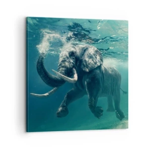 Canvas picture - Everyone Likes to Swim - 60x60 cm