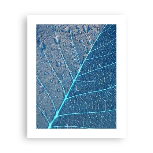 Poster - Life in the Blue - 40x50 cm