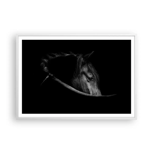 Poster in white frmae - Black Prince - 100x70 cm