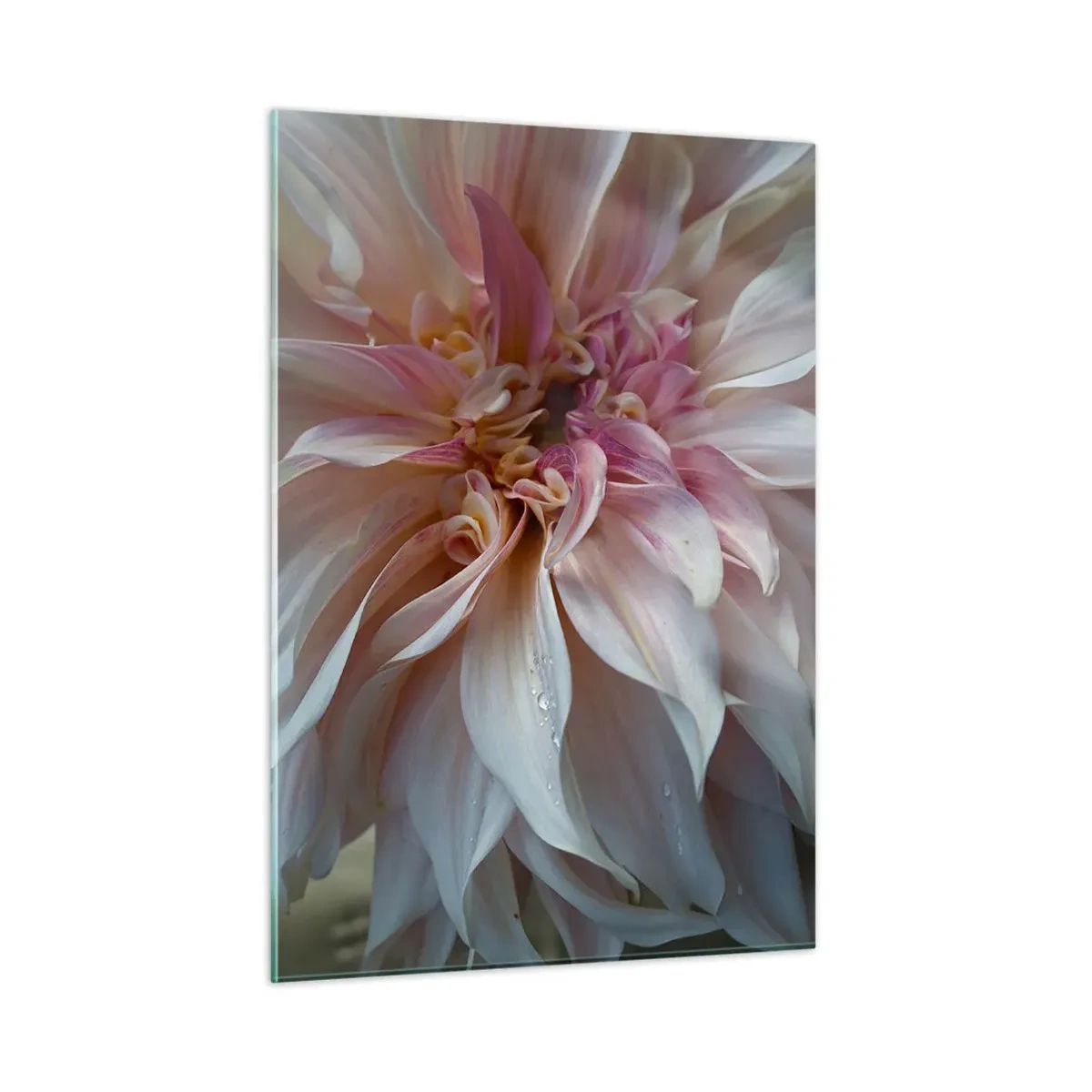 Glass picture - Blooming Freshness - 50x70 cm