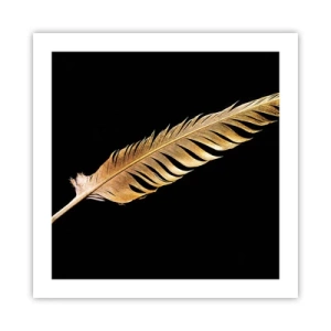 Poster - High-Class Feather - 50x50 cm