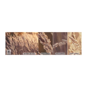 Photo Wallpaper Sample Premium Sand - Ready to Welcome Autumn - Landscape, Ears of Grain, Meadow - 100x30 cm