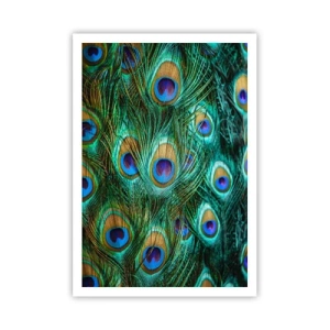 Poster - Peacock Eyes - 70x100 cm