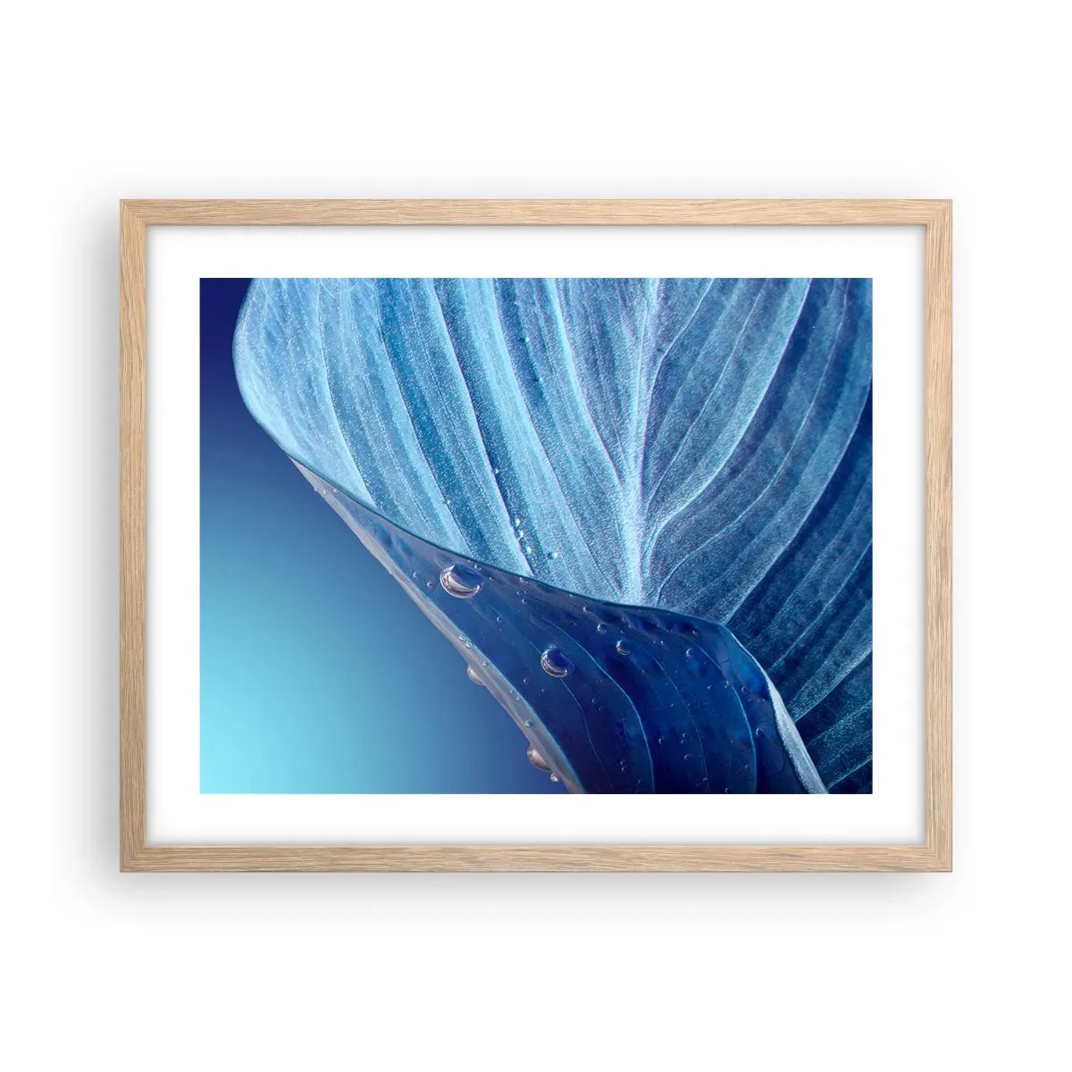 Poster in light oak frame - Hidden Drops of Blue - 50x40 cm