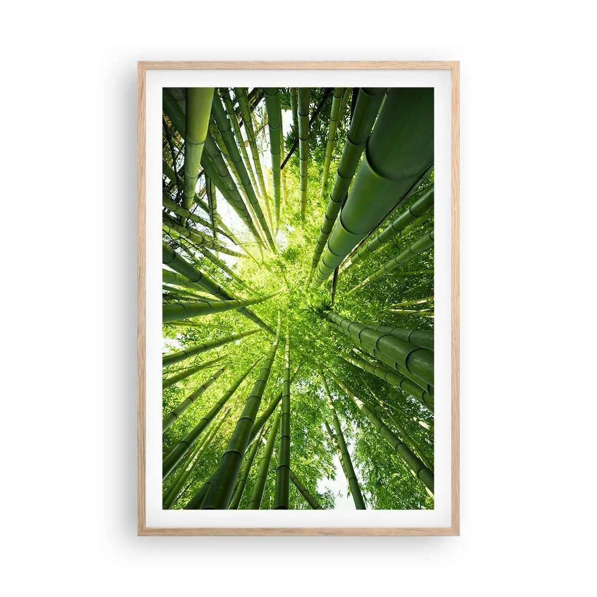 Poster in light oak frame - In a Bamboo Forest - 61x91 cm