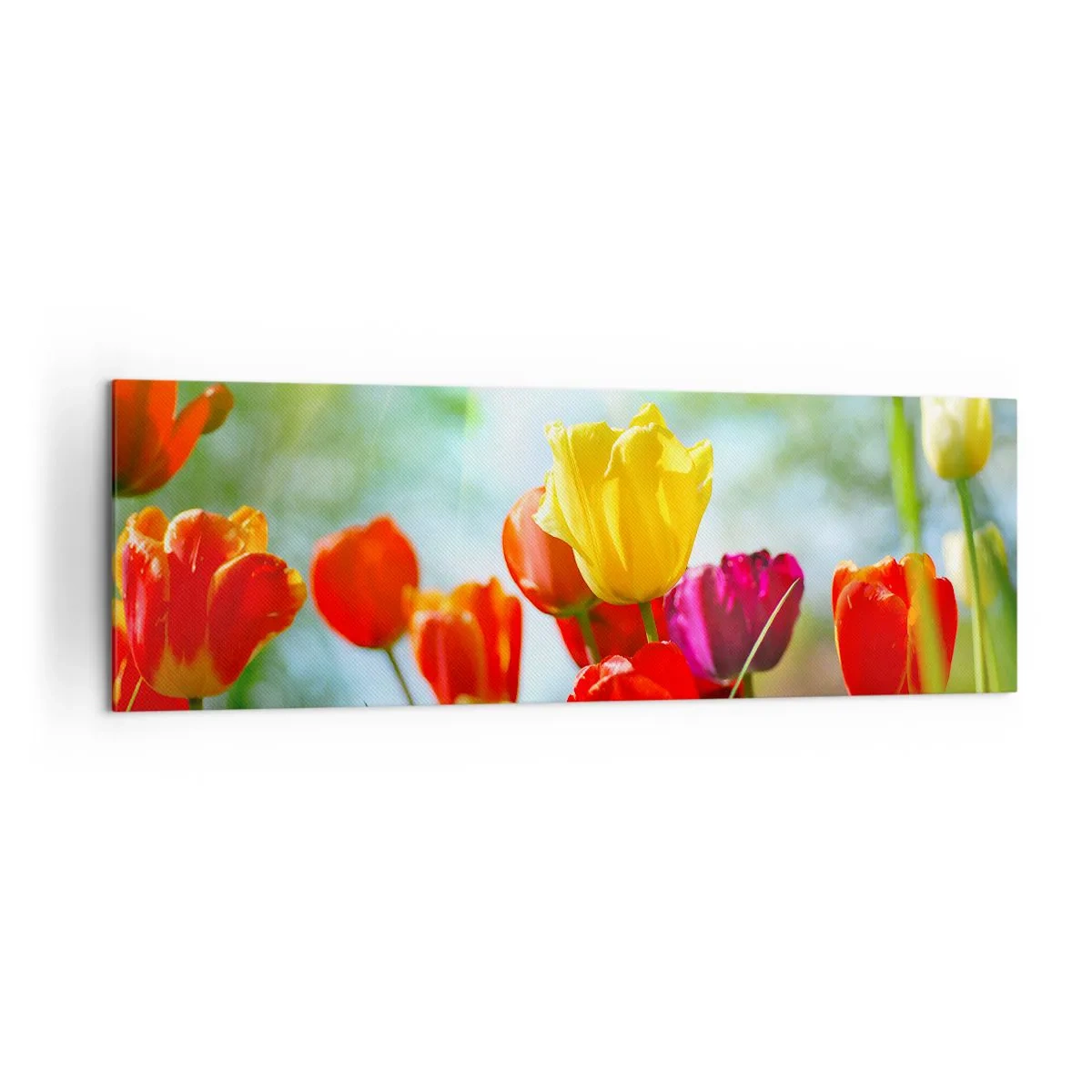 Canvas picture - All Colours of the Sun - 160x50 cm