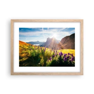 Poster in light oak frame - Secret Life of Herbs - 40x30 cm
