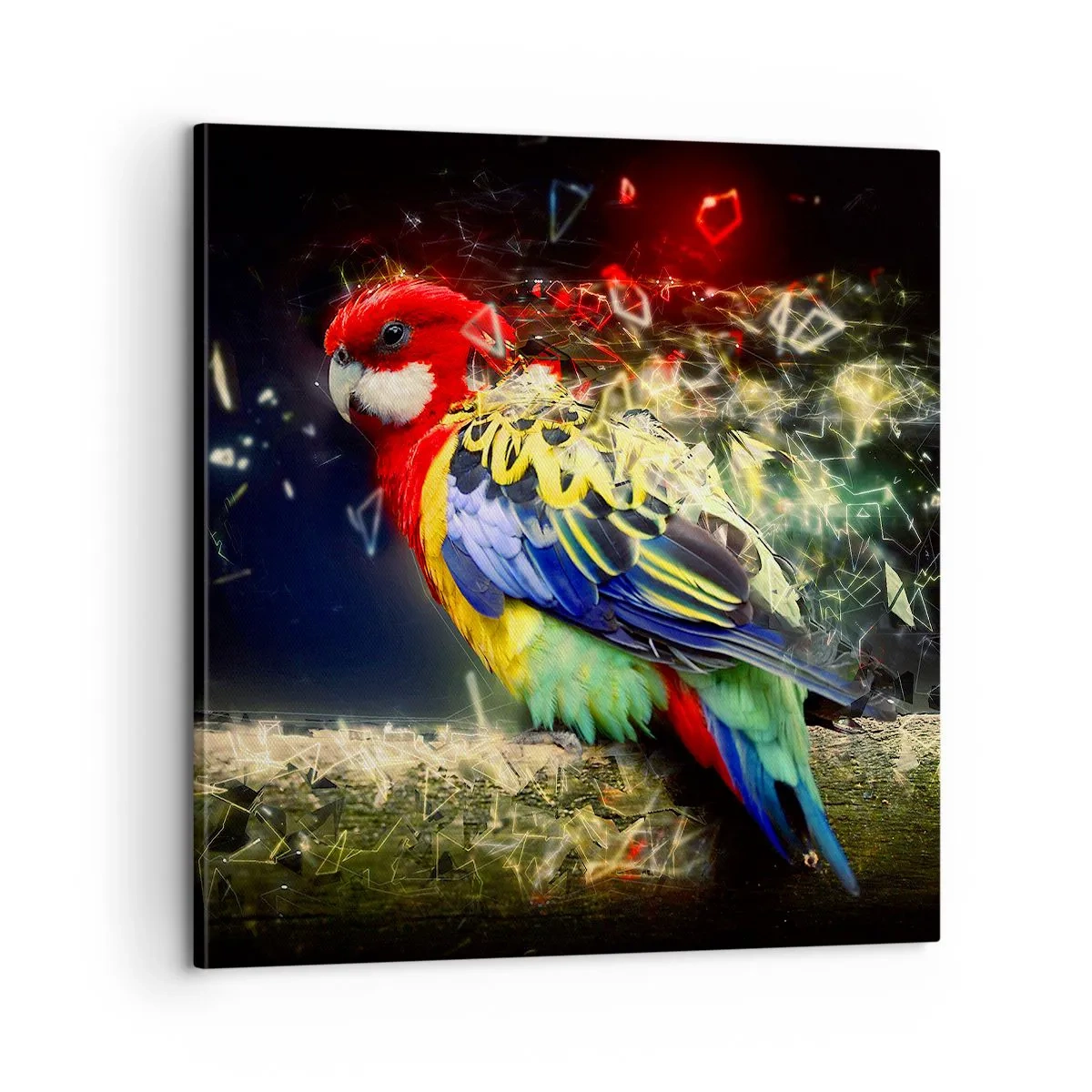 Canvas picture - Messenger of Light - 60x60 cm