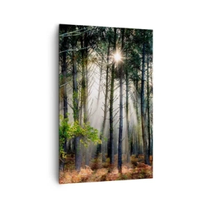 Canvas picture - Woodland Area - 80x120 cm