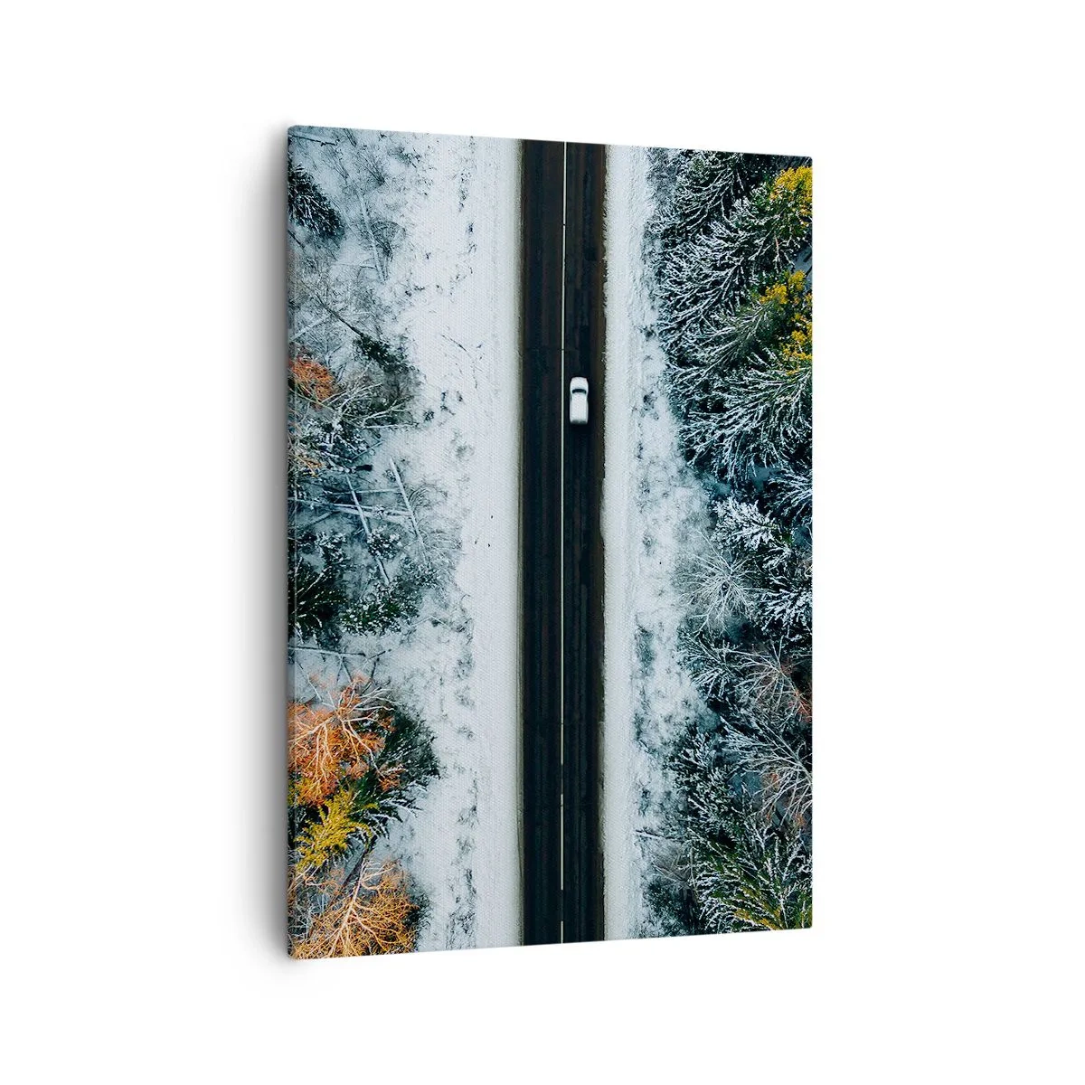Canvas picture - Through a Wintery Forest - 50x70 cm