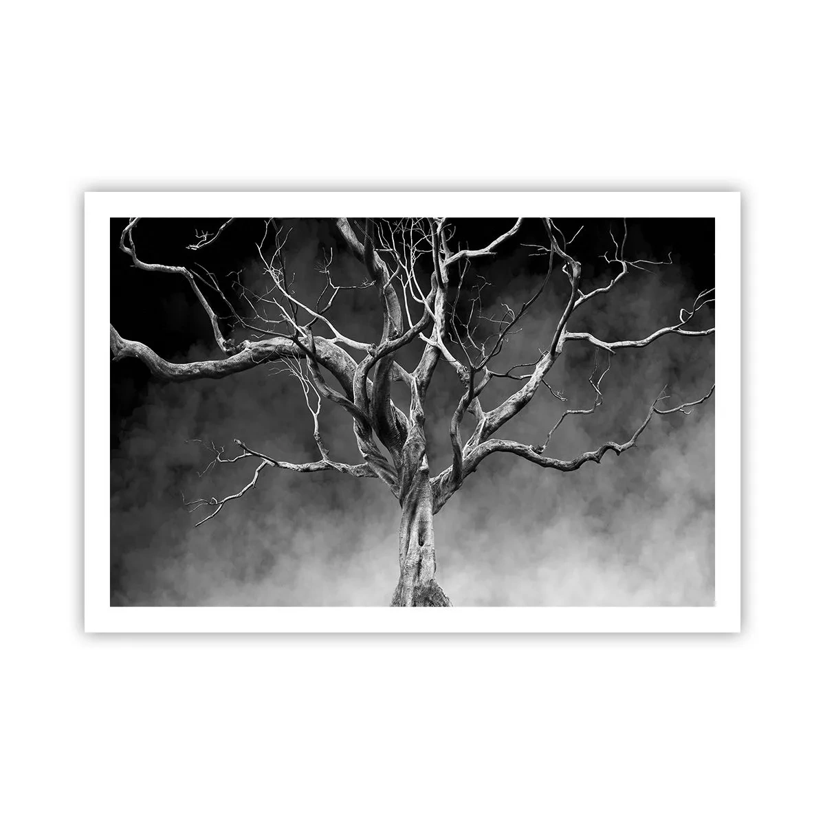 Poster - Primordial and Sacred - 91x61 cm