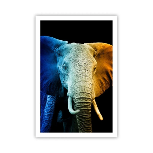 Poster - Eccentric, Not a Weirdo - 61x91 cm