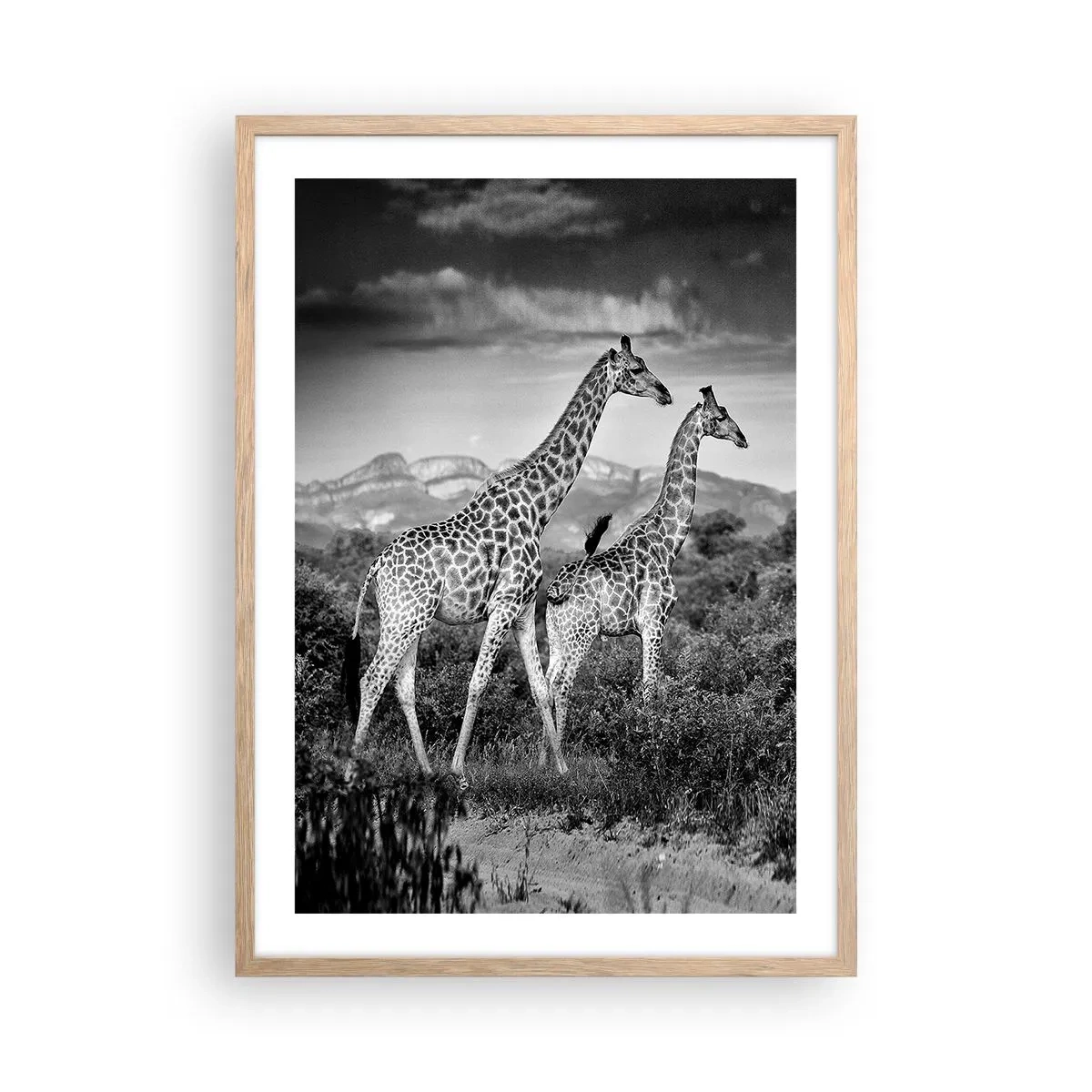 Poster in light oak frame - Higher Spheres in Africa - 50x70 cm