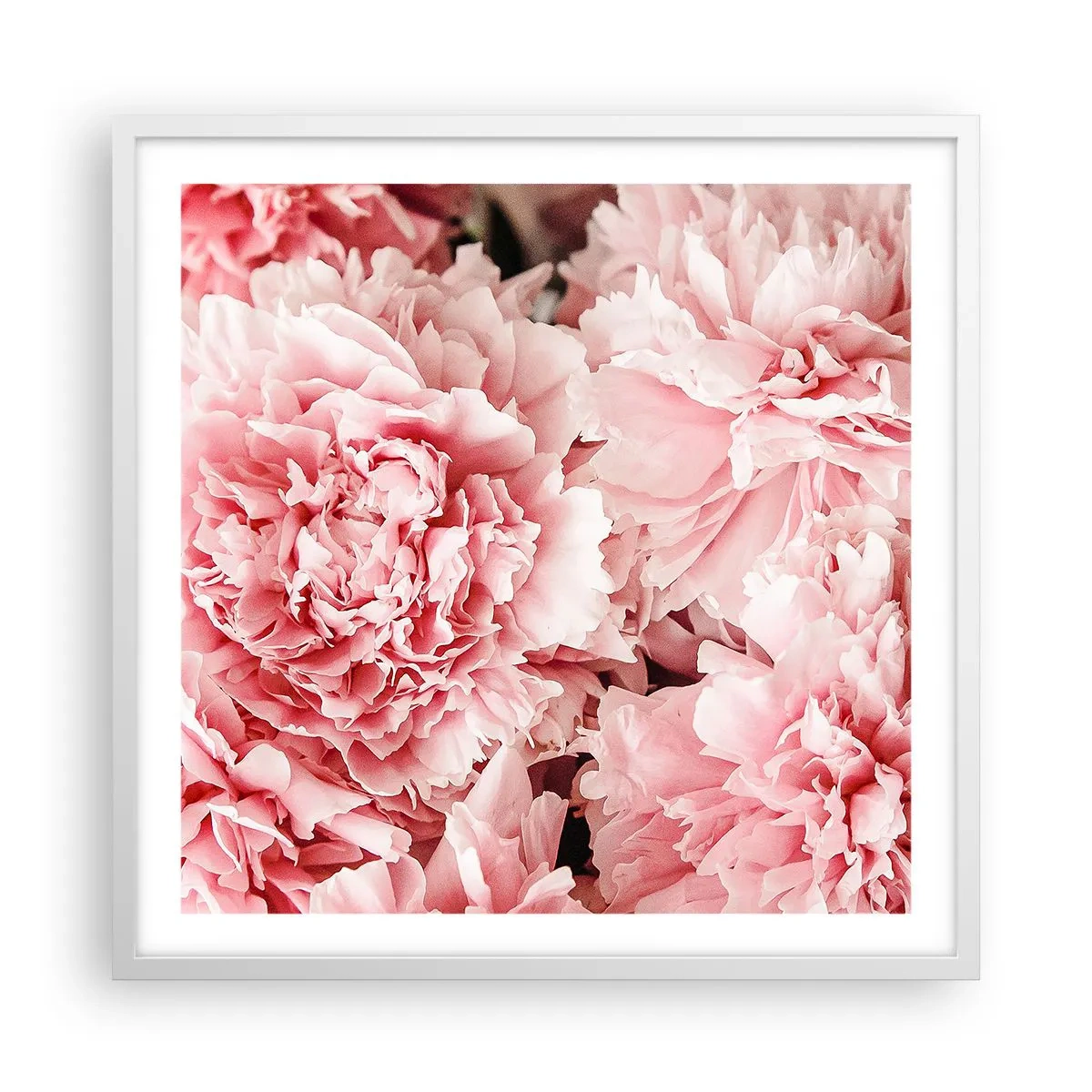 Poster in white frmae - Pink Dreams - 60x60 cm