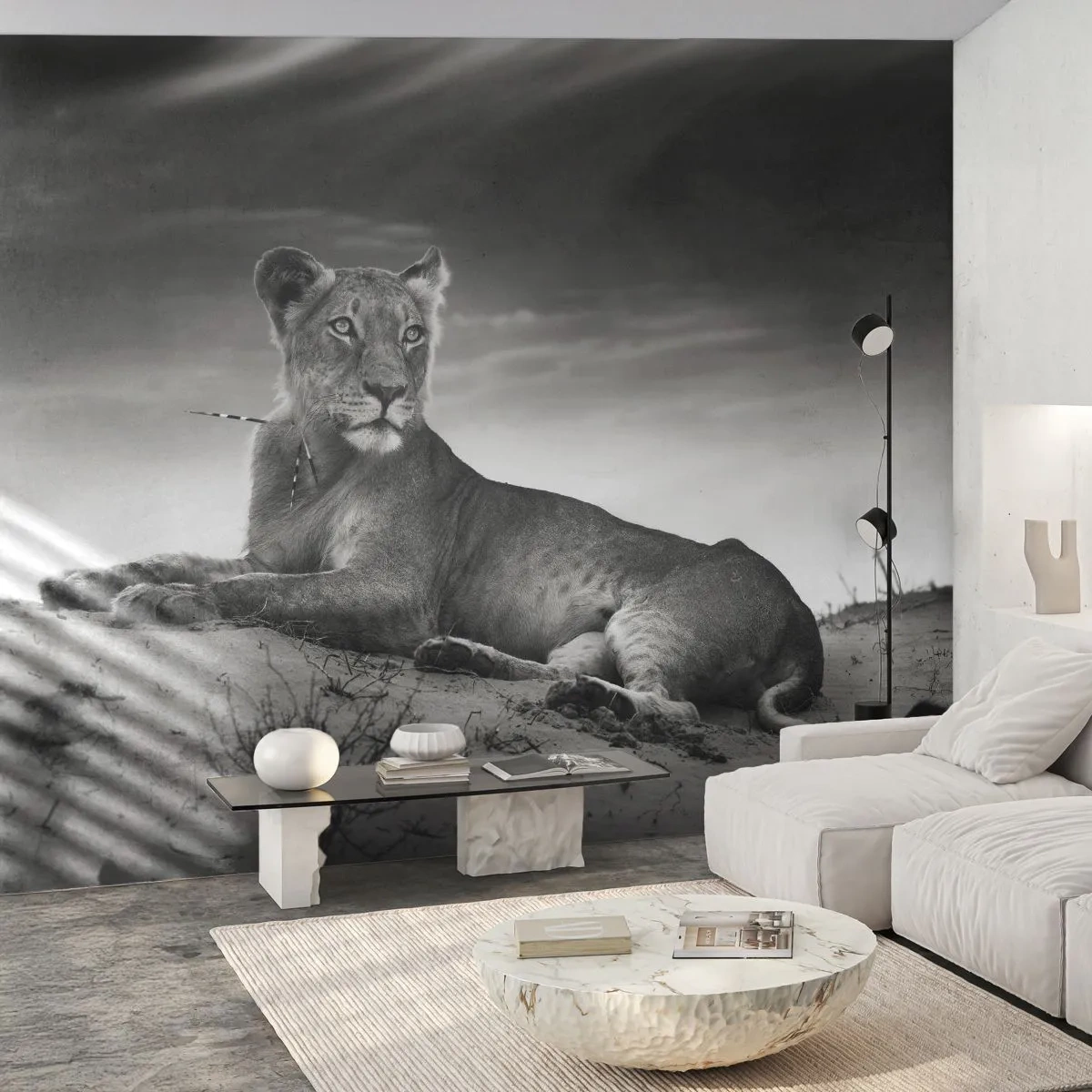 Photo Wallpaper Premium Canvas - Queen of Desert Is Resting - Animals, Lion, Desert - 100x70 cm