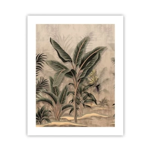 Poster - Engraving in Colonial Style - 40x50 cm