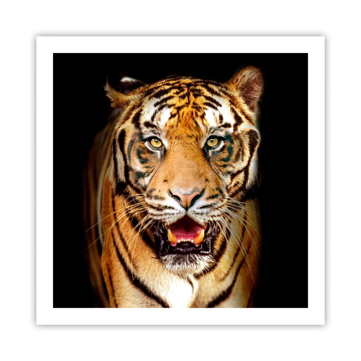 Poster - Wild at Heart - 60x60 cm