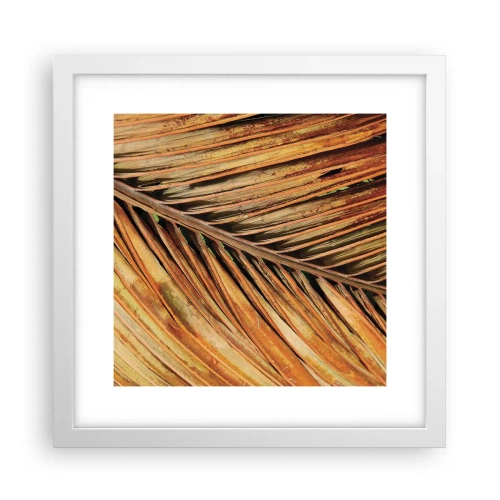 Poster in white frmae - Coconut Gold - 30x30 cm