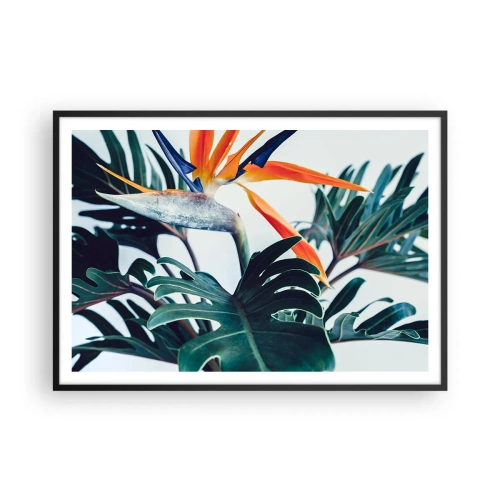 Poster in black frame - Birdy Bush - 100x70 cm
