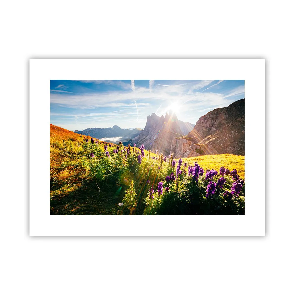 Poster - Secret Life of Herbs - 40x30 cm