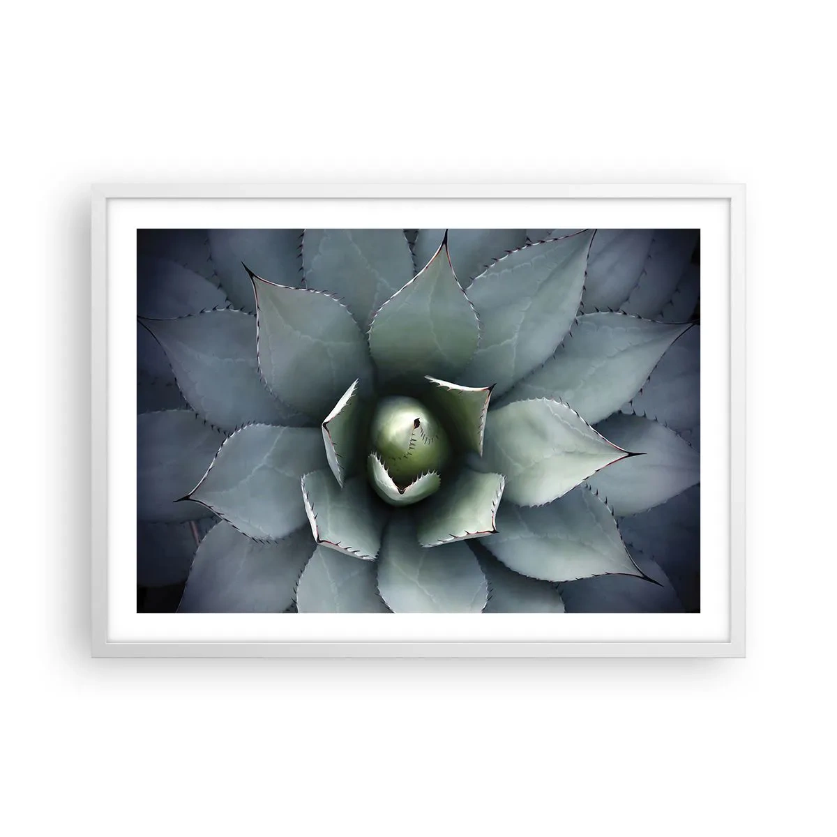 Poster in white frmae - Attracts and Warns - 70x50 cm