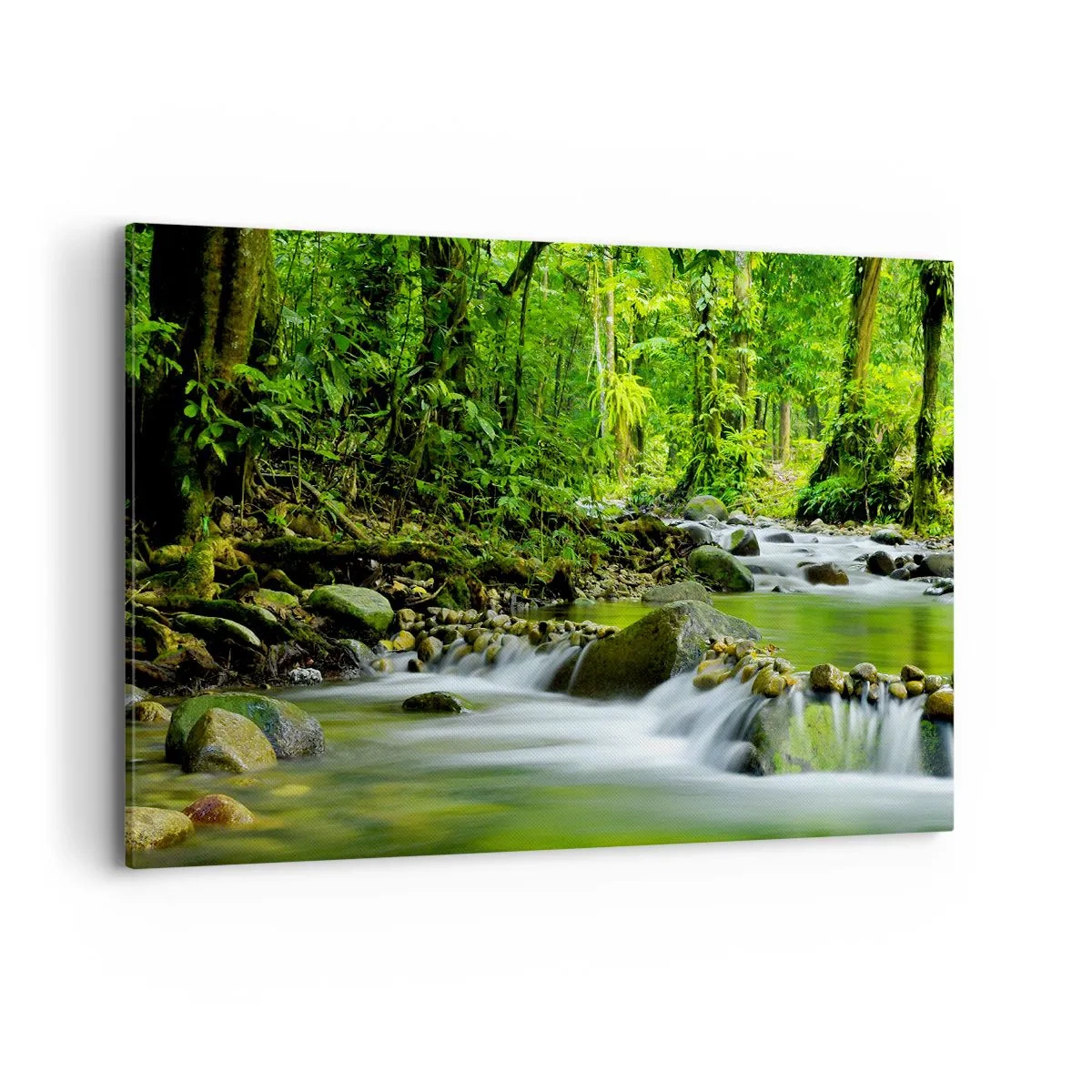 Canvas picture - Swimming in the Sea of Green - 120x80 cm