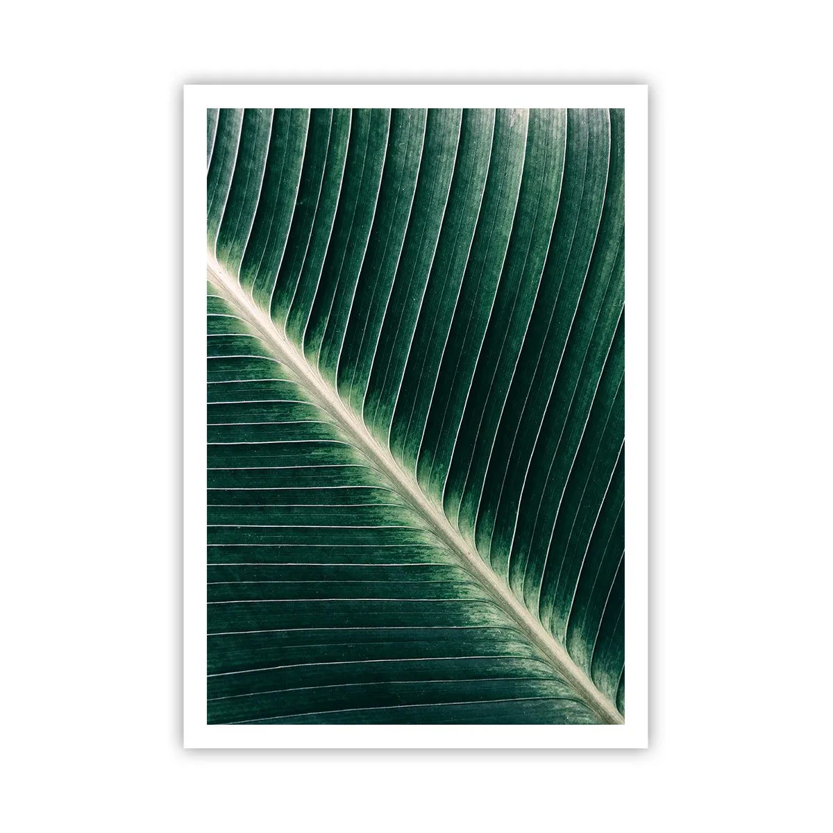 Poster - Rhythm of Nature - 70x100 cm