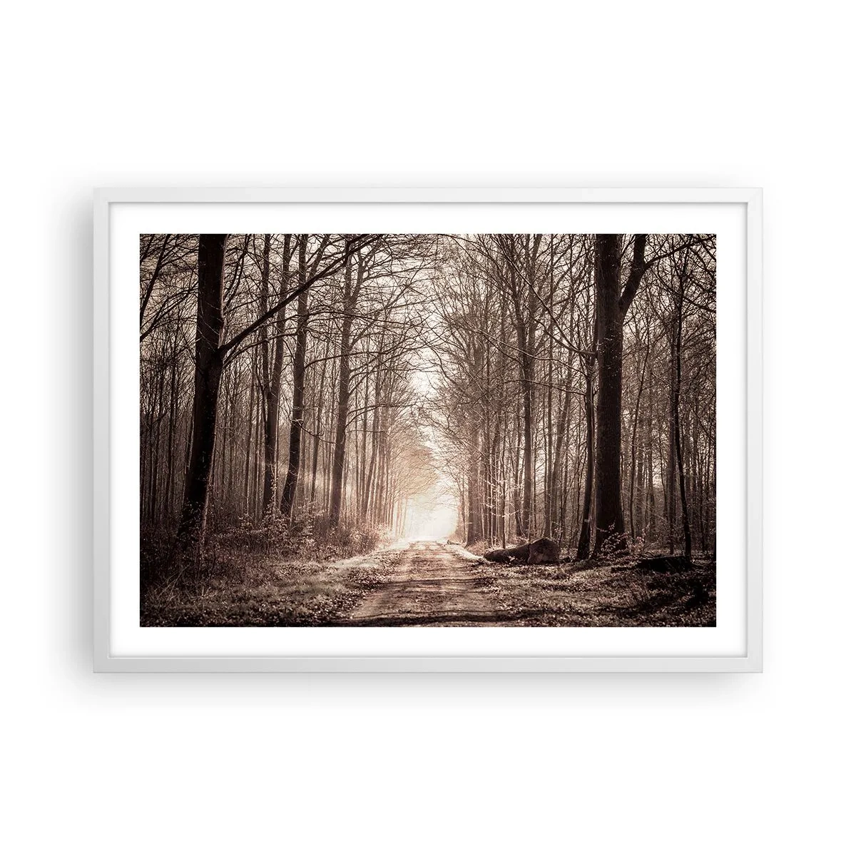 Poster in white frmae - Cathedral of the Forest - 70x50 cm