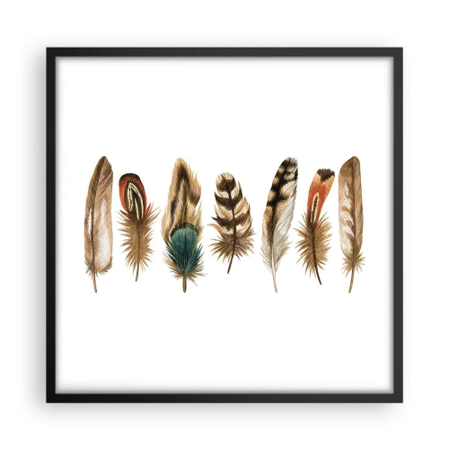 Poster in black frame - Feather Variation - 50x50 cm
