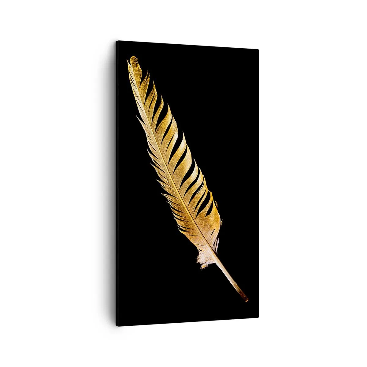 Canvas picture - High-Class Feather - 45x80 cm