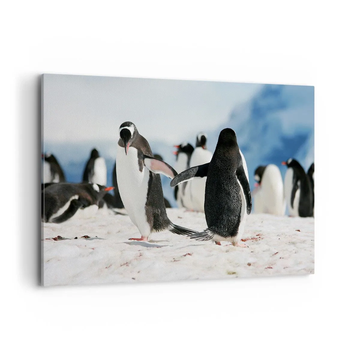 Canvas picture - Dance in the Snow - 120x80 cm