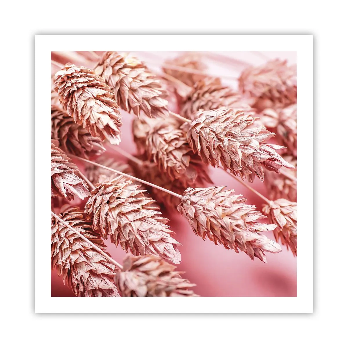 Poster - Flowery Cascade in Pink - 60x60 cm